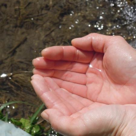 【毎月定期便】猪名川町のお米・キヌヒカリ(玄米)10kg×全3回【4085202】