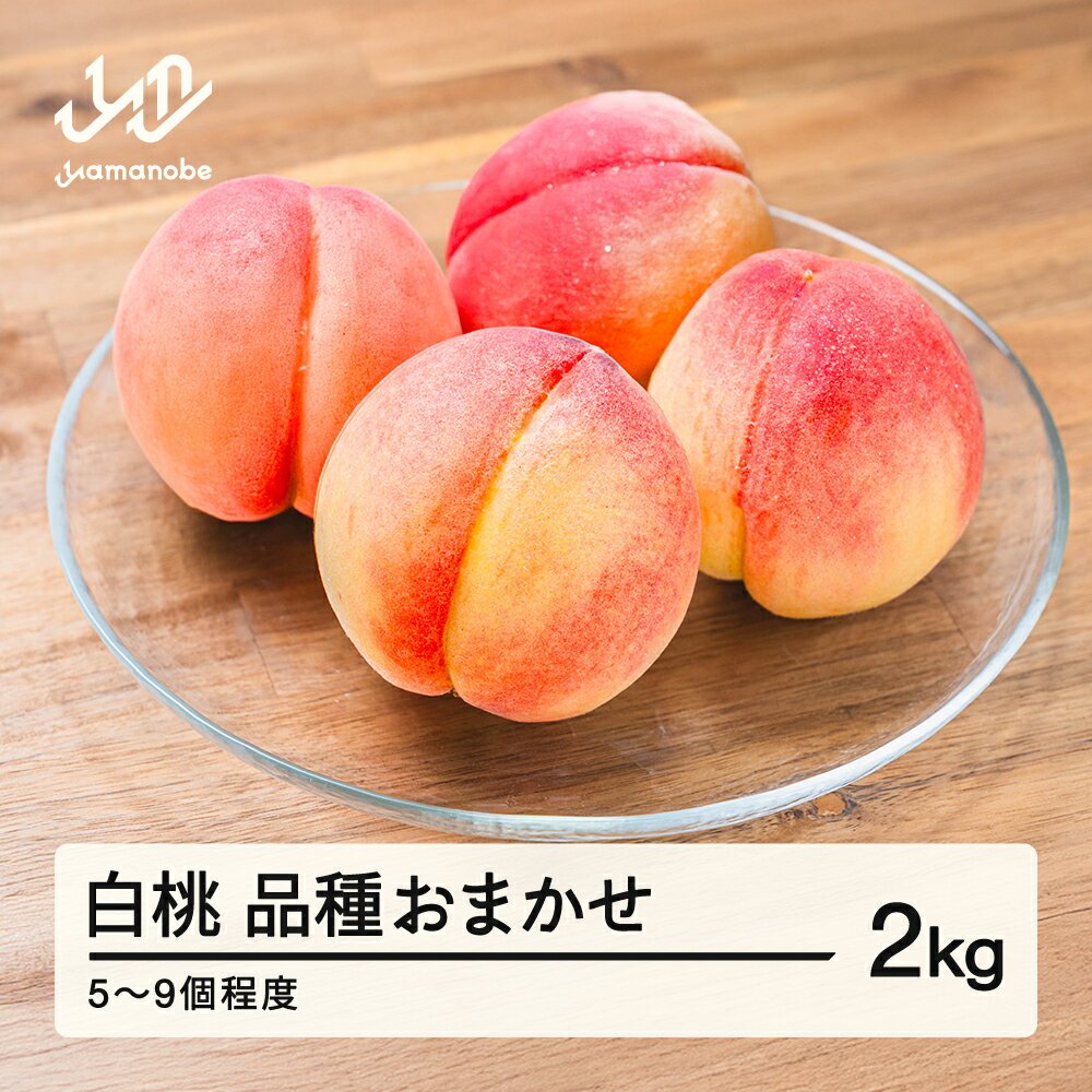 【ふるさと納税】【先行予約】もも 白桃 品種おまかせ 約2kg 令和8年産 2026年産 山形県産 果物 送料無料 mm-mokox2000 ※沖縄・離島への配送不可