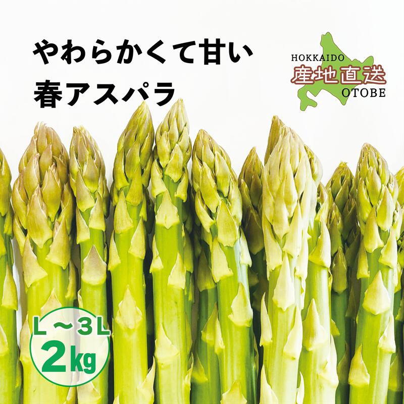 【ふるさと納税】＜北海道産 春採れグリーンアスパラ　2kg＞ 甘さ広がる春の味覚！ 北海道 北海道産 国産 産地直送 乙部町 旬 新鮮 採れたて 農家直送 あすぱら アスパラガス 野菜 冷蔵配送 L以上 お取り寄せ 送料無料