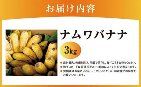 バナナ 南城市 ナムワバナナ3kg