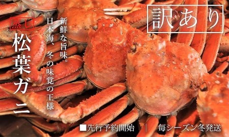 訳あり足折れ松葉ガニ 約3～5枚 (計1.5kg前後) 蒸し ずわいがに カニ 訳アリ 鳥取 TM13 0723