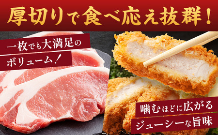 茨城県産 豚肉 ロース スライス 厚切り 1kg  1パック 500g 株式会社セントラルフード 《30日以内に出荷予定(土日祝を除く)》肉 豚肉 ロース 国産 スライス ポークソテー とんかつ トン