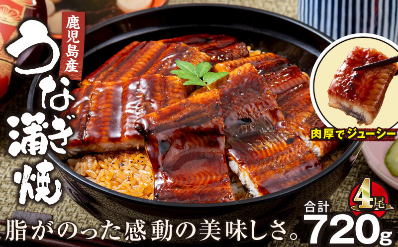 2447 鹿児島産うなぎ180g×4尾合計720g　KN021-015-04