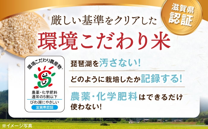  滋賀県湖北産 湖北のコシヒカリ 20kg (玄米)　米 お米 ご飯 ごはん ゴハン おにぎり 炊き込みご飯 人気 おすすめ