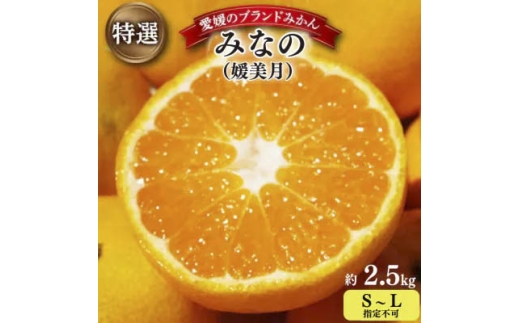 ＜2025年11月以降発送＞みなの共選の特選「みなの(旧:媛美月)」約2.5kg＜C28-36＞【1334191】 YWTN024