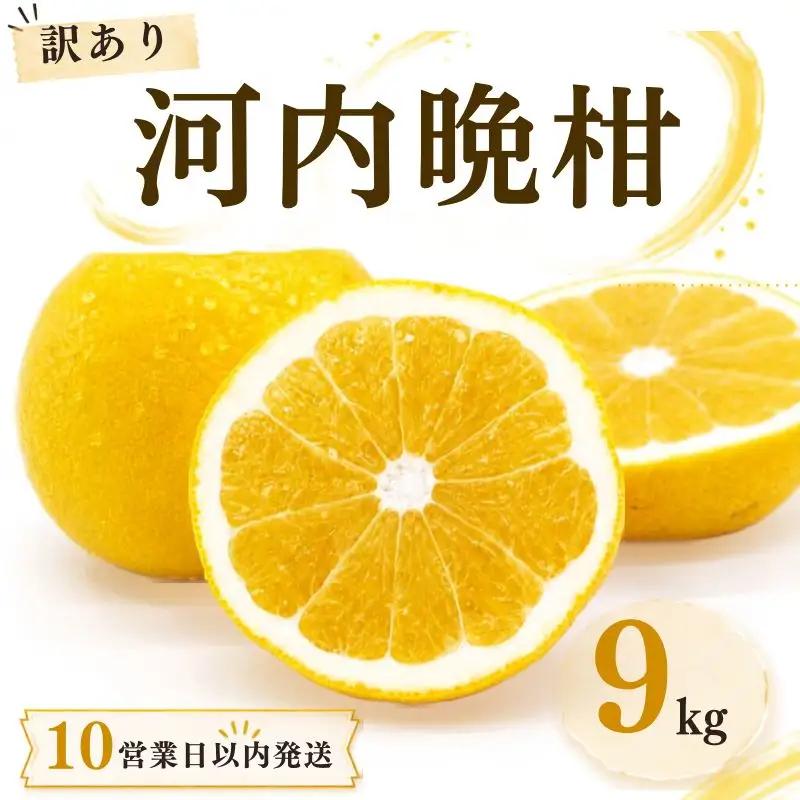 【10営業日以内発送】訳あり 河内晩柑 ばんかん 約 9kg 不揃い 大小ミックス 傷あり 期間限定 すぐ届く あっさり すっきり 甘い 柑橘 かんきつ フルーツ 果物 くだもの 厳選 愛媛 みかん 蜜柑 愛南 ご当地 ブランド 野菜 サラダ ピール ゼリー お菓子 デザート マルエム直販 愛媛県 愛南町