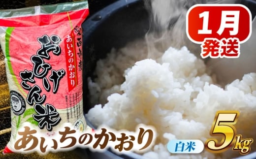 【1月発送】あいちのかおり 白米 5kg 米 お米 5kg 5キロ 白米 精米 新米 コメ ご飯 ごはん 愛知県産 国産 県産米 国産米 あいちのかおり 発送 時期 選べる 産地直送 15000円 1