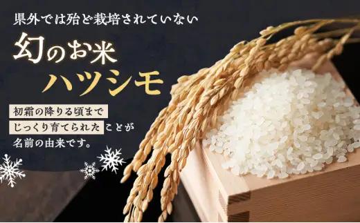 【定期便】令和7年産 岐阜県産 ハツシモ 10kg (3ヵ月連続お届け) 米 お米 コメ 白米 精米 ハシツモ 定期便 岐阜 瑞穂市