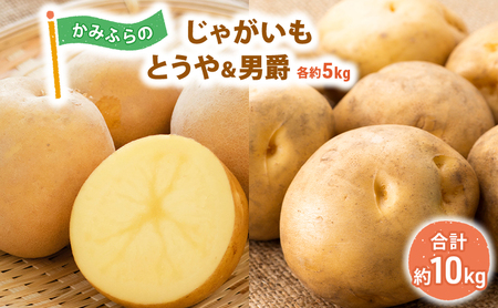 【令和8年産】しんや農園のじゃがいも「とうや5kg & 男爵5kg」 計10kg 野菜 旬の野菜 北海道産 北海道野菜 国産 国産野菜 グルメ 食材 ポテト 北海道産じゃがいも 食べ比べ 煮崩れしにくい ホクホク【北海道上富良野町産】
