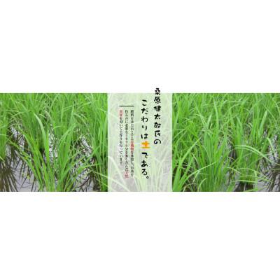 ふるさと納税 津南町 令和4年産　魚沼産こしひかり　【ダイヤモンド褒賞受賞(※)特別栽培米】5kg×4袋 |  | 02