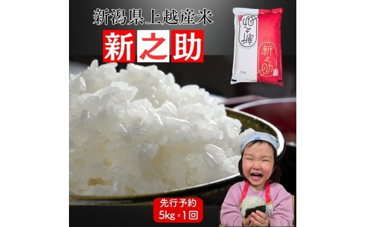 令和8年産 先行予約 新潟県上越市産 新之助 しんのすけ 5kg 5キロ 新米 精米 米 新潟県産 限定 おすすめ 米ヴィレッジさんわ