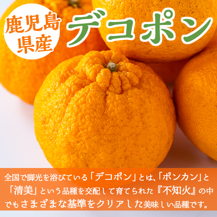 i084 ≪先行予約受付中！2026年3月上旬から順次発送≫鹿児島県産！デコポン(約5kg・L~4Lサイズ 15~24玉) 国産 みかん 柑橘 種なし 果物 くだもの フルーツ 旬 露地裁場 【JA鹿