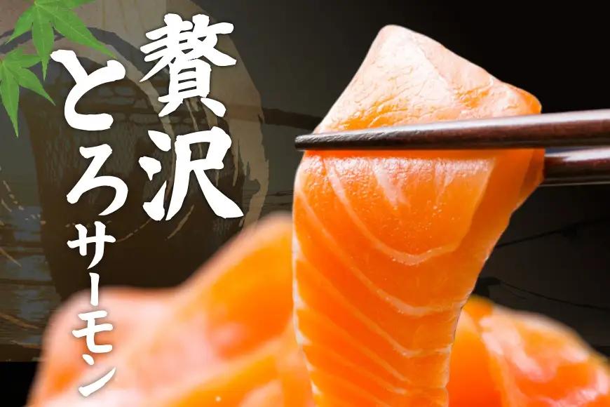 定期便 訳あり とろサーモン 刺身 5パック計1kg×3回 総計3kg 毎月 3回 定期