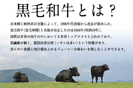 黒毛和牛 ホルモン 800g 有限会社トップルーフ 黒毛和牛