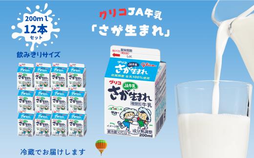 JAさが生まれ牛乳 200ml×12本セット：A080-017