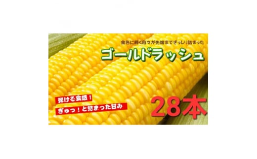 ＜28本＞朝採れ!新鮮とうもろこし「ゴールドラッシュ」【1487435】