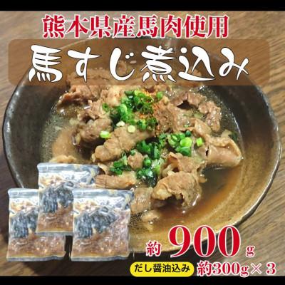 ふるさと納税 山鹿市 熊本県産馬すじだし醤油煮込み 900g