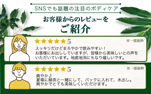 佐多岬産無農薬レモングラスティー（40g×1個）BF-12｜レモングラス 茶 ハーブティー リラックス ボタニカノン BOTANICANON ケミカルフリー 鹿児島県 南大隅町 ボタニカルファクトリー