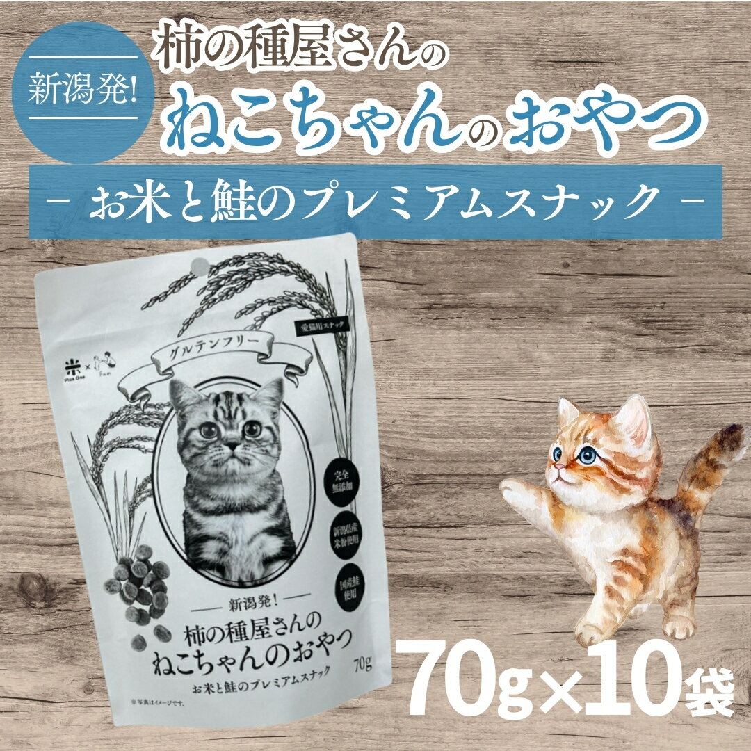 【ふるさと納税】 柿の種屋さんのねこちゃんのおやつ お米と鮭のプレミアムスナック 70g×10個 猫用 おやつ キャットフード 国産秋鮭 新潟県産米粉 グルテンフリー 小麦不使用 ペットフード 阿部幸製菓 新潟県 小千谷市 【0002-0387】