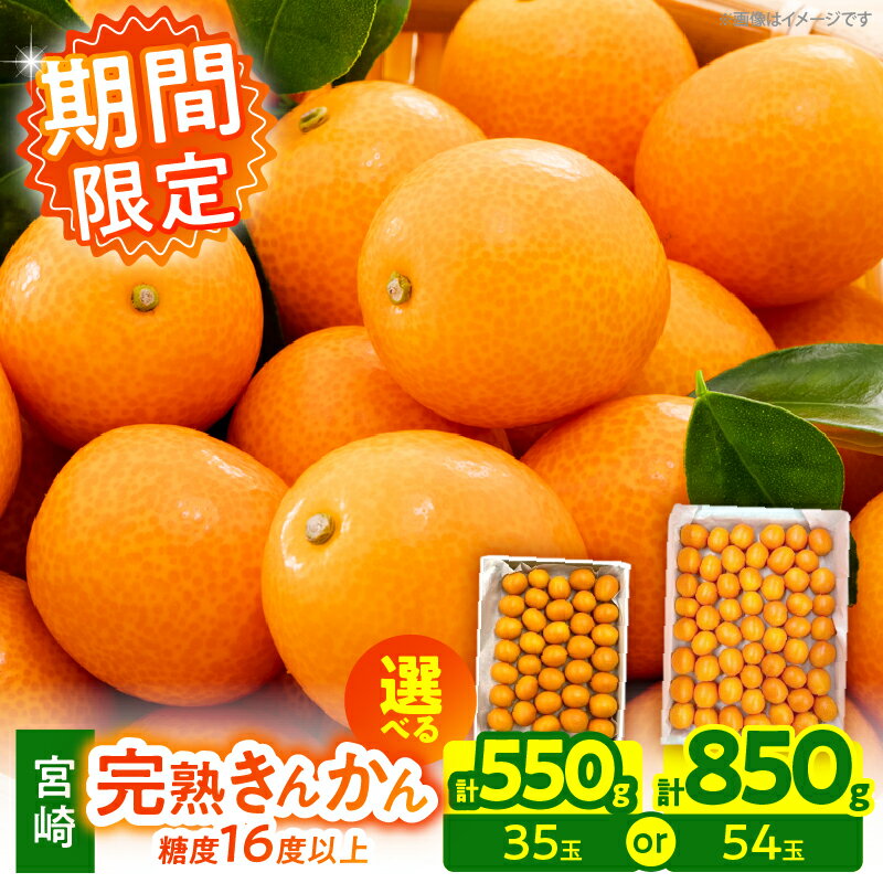 【ふるさと納税】≪内容量が選べる≫【1週間以内発送】 ゴトウさんの 宮崎 完熟 きんかん 期間限定 フルーツ 果物 くだもの 金柑 柑橘 青果 キンカン 国産 食品 人気 おすすめ ギフト 贈り物 贈答 おすそ分け お礼 新鮮 産地直送 高糖度 甘い 宮崎県 日南市 送料無料