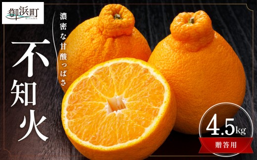【2027年発送先行予約品】濃密な甘酸っぱさ！ミカファームの不知火4.5キロ(贈答用)【数量限定 果物 フルーツ みかん 不知火 しらぬい デザート 4.5kg 贈答用 贈り物 三重県 御浜町】