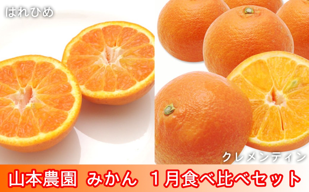 
                  【セット】太良町 山本農園 1月食べ比べセット 6kg（はれひめ、クレメンティン 各3kg）
                