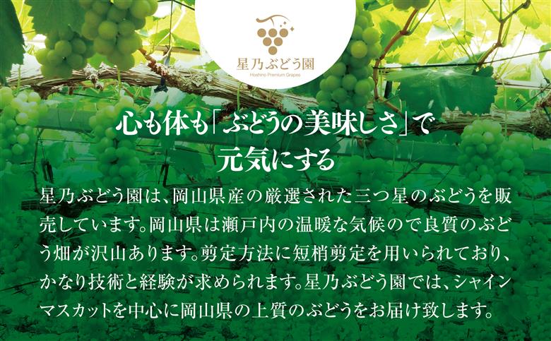 【三つ星ブランド】星乃シャインマスカット プレミアムクラス(岡山県産) 1房×850g以上【配送不可地域：離島・北海道・沖縄県】