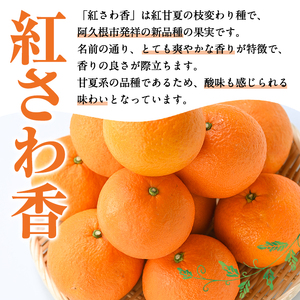 ＜先行予約受付中！2027年1月上旬以降順次発送予定＞数量限定！紅さわ香(10kg) 国産 鹿児島県 阿久根市 果実 果物 フルーツ 柑橘 紅甘夏 みかん ミカン 期間限定 数量限定【桐野柑橘株式会社