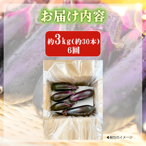 なす 約 3㎏ 約30本 6回定期便 高知県安芸市｜ナス AR009