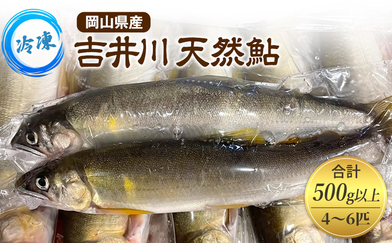 天然鮎 4～6匹 合計500g以上 【8月上旬～9月下旬 発送予定】 冷凍 個包装 鮎 アユ あゆ 魚 川魚 岡山県産 吉井川