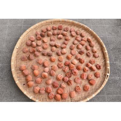 ふるさと納税 すさみ町 2026/6月より発送【梅干し・梅酒用】紀州和歌山の熟南高生梅4Lor3L-10kg |  | 02