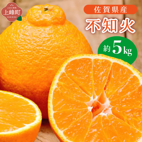 不知火 約5kg