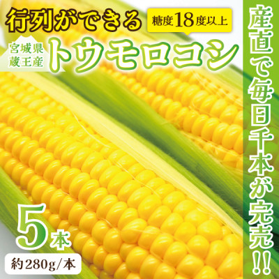 
                  ＜蔵王の産直で毎日1000本完売＞生でも甘い♪行列ができるトウモロコシ『夢みらい』5本 数量限定【1500613】
                