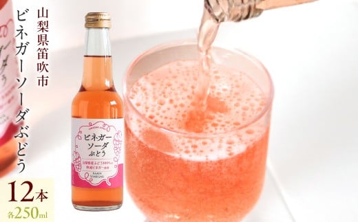 ビネガーソーダぶどう12本セット 182-031