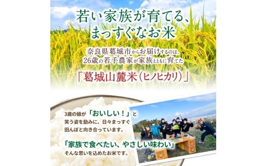 先行予約 ※3ヶ月定期便※ 葛城山麓米 ヒノヒカリ（白米）10kg ×3ヶ月 令和8年産 【2026年11月・12月・1月発送】／ 奈良 葛城 山麓米 産地直送 米 お米 新米 こめ 国産 甘い 美味