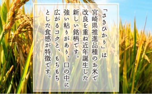 T-B2 <令和7年産>宮崎県串間市産  超早場米「さきひかり」5kg(5kg×1袋)【松田農産】