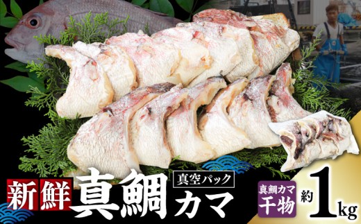 新鮮真鯛カマ干物（約1Kg）　M079-011-03