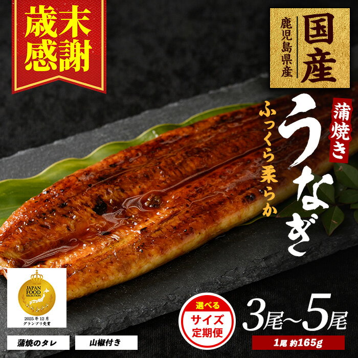 【ふるさと納税】【歳末感謝】＜内容量が選べる＞鹿児島県産うなぎ蒲焼(約165g×3尾〜約165g×5尾・たれ・山椒付／定期便・約165g×5尾・たれ・山椒付×3回) うなぎ 鰻 ウナギ 鹿児島 国産【大新】