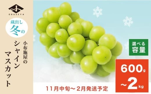 
                  蔵出し冬のシャインマスカット 約600g 約760g 約1kg 約1.3kg 約2kg 選べる内容量 ［小布施屋 ］ 年内配送 長野県 ぶどう フルーツ 果物 冷蔵便 クール便 令和8年産【2026年11月中旬～2027年2月発送】［A-502］
                
