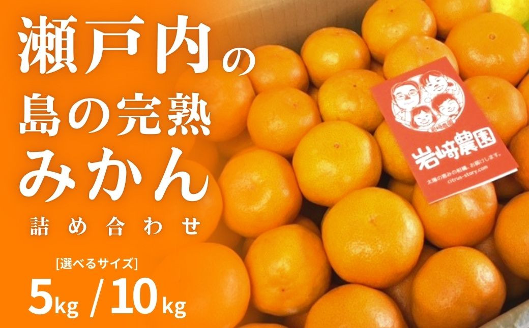 
            [予約] 12月発送 瀬戸内の島の完熟みかん詰め合わせ 5kg/10kg 選べるサイズ 広島県 大崎上島町 濃厚 柑橘 セット 贈答 ギフト せとうち
          