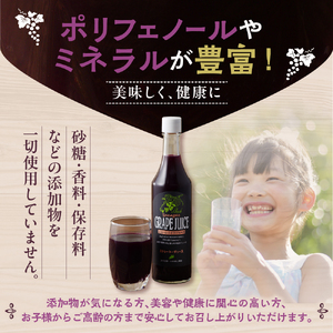 美味しい上山・山ぶどうジュース（原液）６００ｍｌ×２本　0140-2406