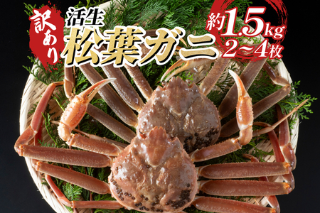 【22010-2】訳あり松葉がに（生）※お届けは2026年11月中旬～