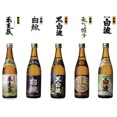 【「5銘柄」ミニチュアボトル10本セット】「よいしょ白波 厳選ミニボトル」 【木箱入】 B3-45