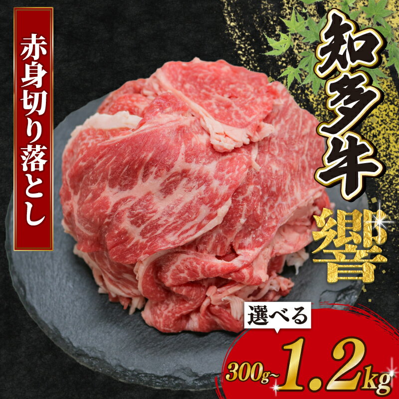 【ふるさと納税】 容量選べる 知多牛 赤身切り落とし 300g～1.2kg 冷凍 知多牛響 切り落とし 小分け パック 約1kg 赤身 肉 牛肉 ふるさと納税切り落とし 切落し 赤身肉 国産牛肉 国産牛 牛肉 小分けで便利 お手軽 ご褒美 冷凍牛肉 お肉 切り落し