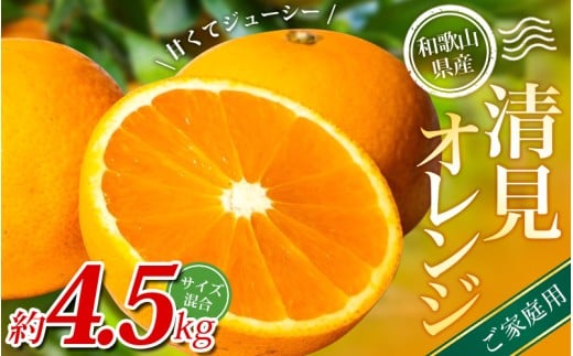 【家庭用】 森本農園の手選別 清見オレンジ 約4.5kg 和歌山県産 サイズ混合 【2026年2月上旬～5月中旬頃に順次発送】 きよみ 清見 柑橘 ご家庭用 期間限定 由良町 果物 フルーツ 和歌山県