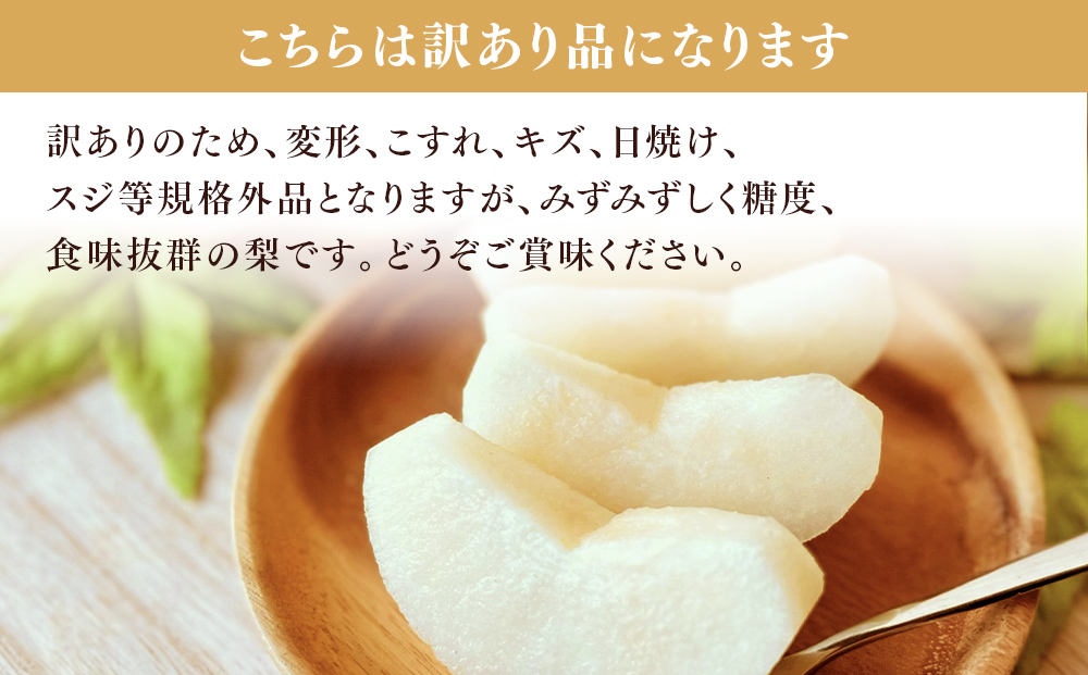 【訳アリ！先行予約】小林果樹園の梨 6～10玉 約3kg | 梨 なし 和梨 豊水 新高 あきづき 愛宕 にっこり 新雪 王秋 新興 果物 フルーツ くだもの 新鮮 朝どり エコファーマー 訳あり 茨