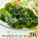 【ふるさと納税】三陸産 肉厚 わかめ 200g [川村海産 宮城県 気仙沼市 20563926] 海産物 ワカメ 若芽 国産 塩蔵 サラダ 酢の物 常温 海藻