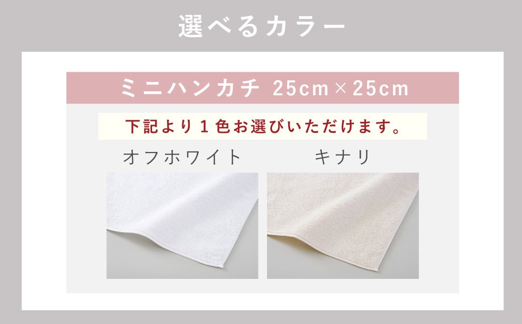 【今治タオルブランド認定】なめらかバンガロールorganic ミニハンカチ 2枚セット
