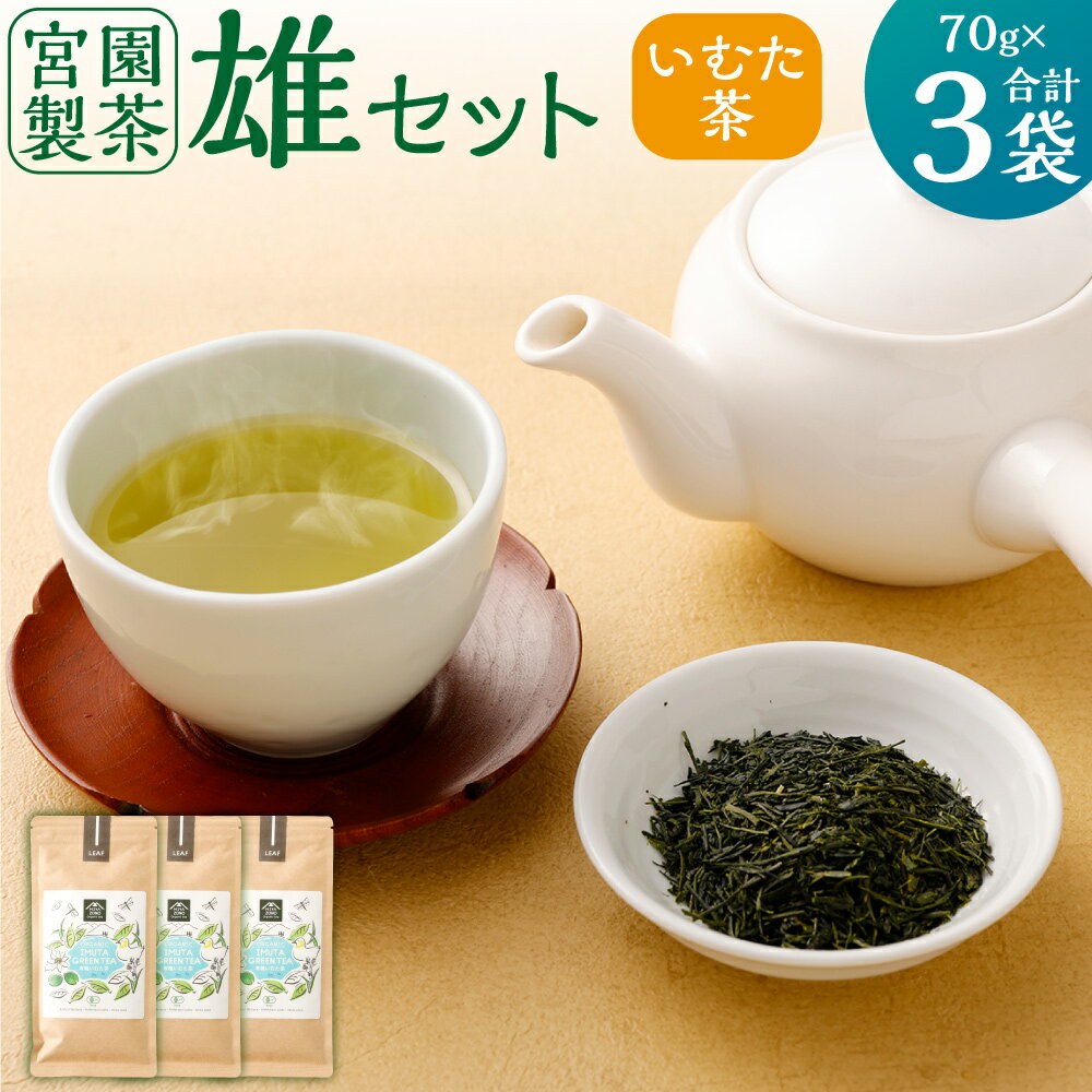 【ふるさと納税】 有機いむた茶 宮園製茶の雄セット【2024年5月初旬発送】 AS-513 藺牟田茶 煎茶 日本茶 緑茶 有機 茶 お茶 茶葉 リーフ 鹿児島 ギフト プレゼント 薩摩川内市 藺牟田池 いむた池 祁答院 入来