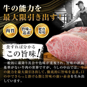 【数量限定】A4・A5等級うしの中山黒毛和牛ミスジステーキ(計200g・100g×2枚) 鹿児島県産 黒毛和牛 和牛 ミスジ ステーキ 肉 牛肉 国産 九州産 焼肉 BBQ 真空パック 小分け A5 
